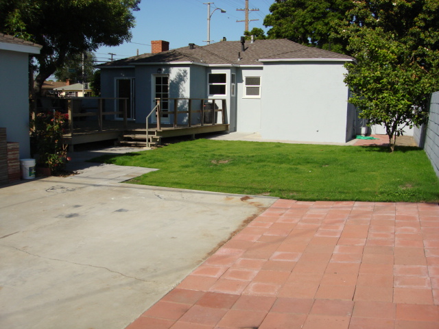 Rear Yard 1st View After